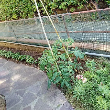 Con Giardino E Barbecue Lejlighed